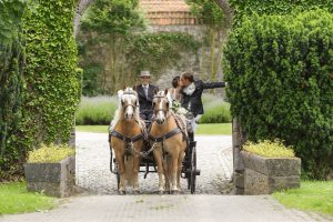 reportage photo de mariage avec chevaux