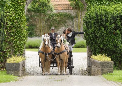 reportage photo de mariage avec chevaux