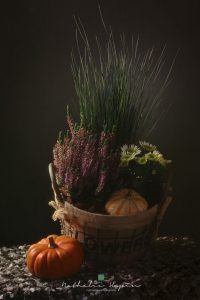 montage floral d'automne avec bruyère, chrysanthème et potiron
