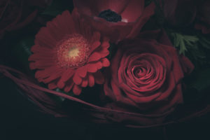 fleurs bouquet florilege epinois