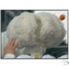 chapeau en plumes d'autruches blanches et orange