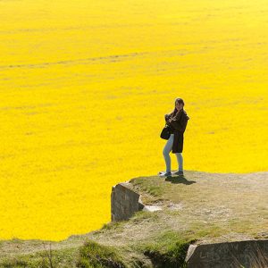 formation en photo atelier créatif portrait ou paysage