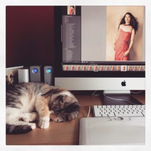 chat ordinateur et lightroom