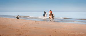 photographe avec des chevaux galopant sur la plage