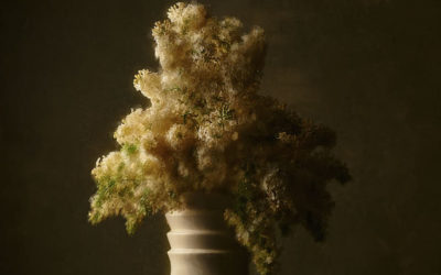 Divoc, 19 avril 2020