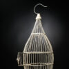 la cage est ouverte