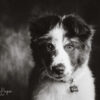 Mini session – Image 6
