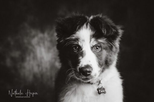 Bon cadeau mini session – Image 6