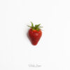 fraise strawberry ferme de Vaucelle