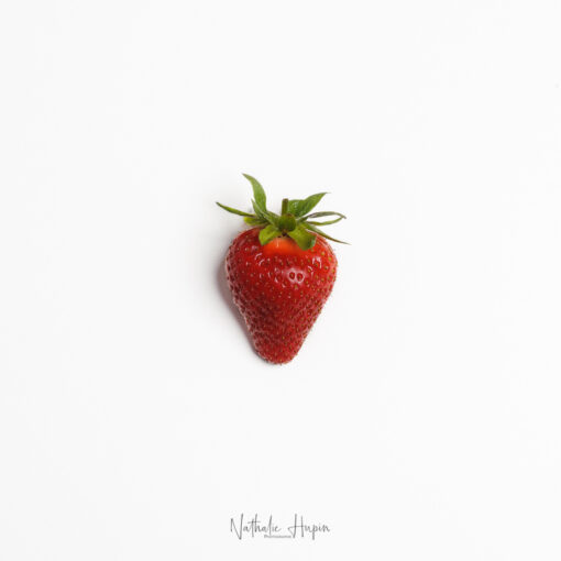 fraise strawberry ferme de Vaucelle