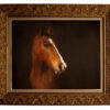 photo d'un cheval dans un cadre