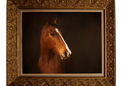photo d'un cheval dans un cadre