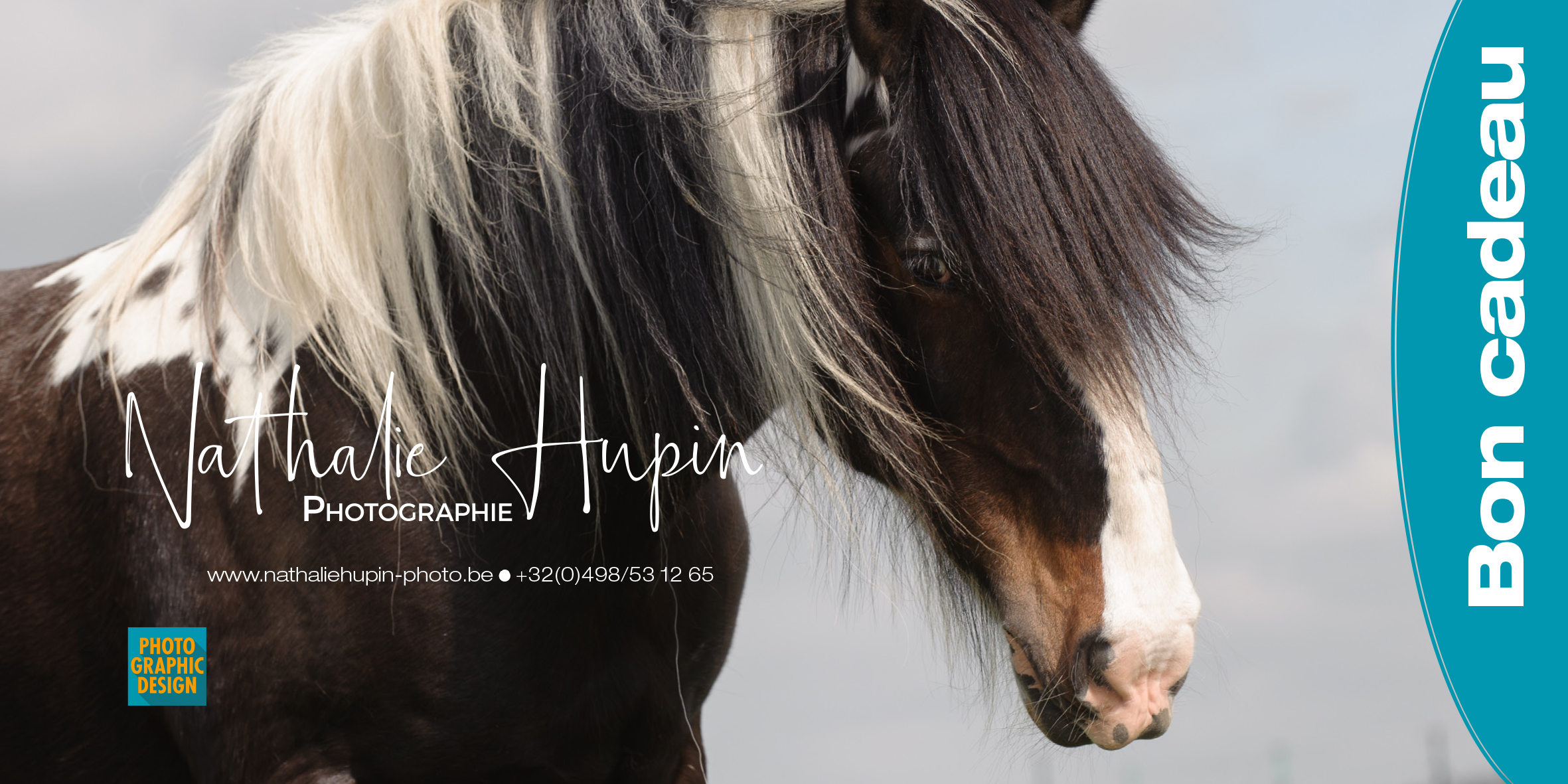 Bon cadeau découverte cheval (40 km) - Photographe à Binche