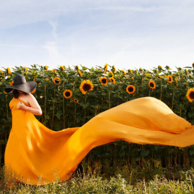 La composition — niveau débutants en présentiel