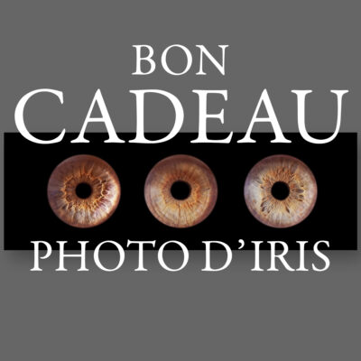 Bon cadeau photo 3 iris 90x30 cm